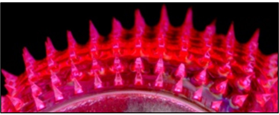 Read more: Linnes Lab – Jacqueline Linnes